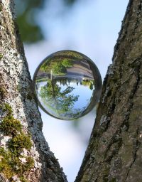 psychogénéalogie analyse transgénérationnelle systémique Ferney-Voltaire Pays de Gex